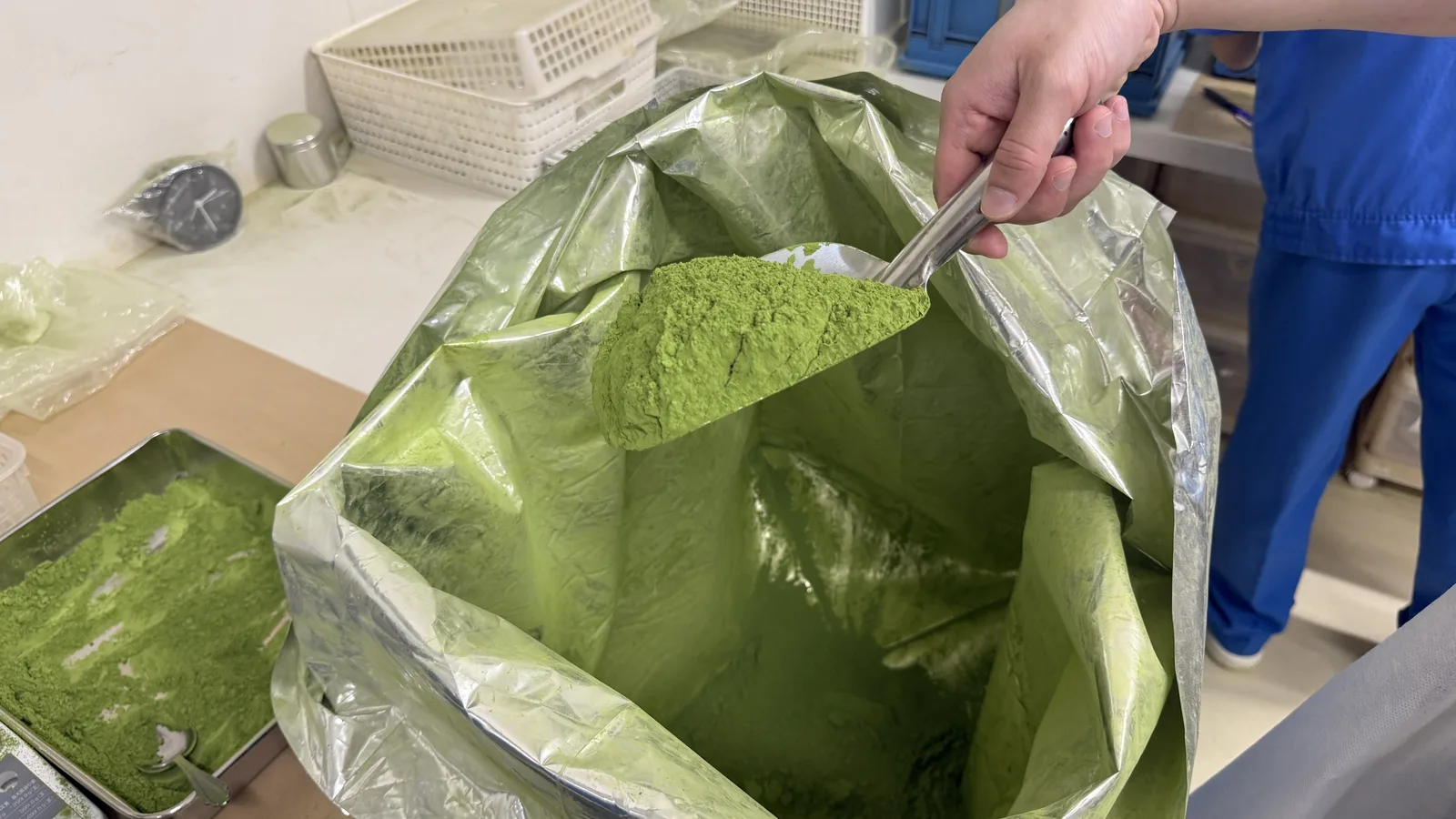 Freshly milled vivid green matcha powder